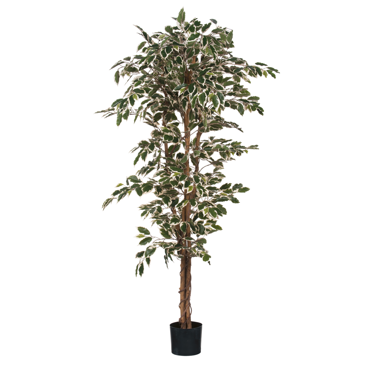 Ficus artificiel - H180 x Ø90 cm - Vert panaché
