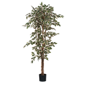 Ficus artificiel - H180 x Ø90 cm - Vert panaché