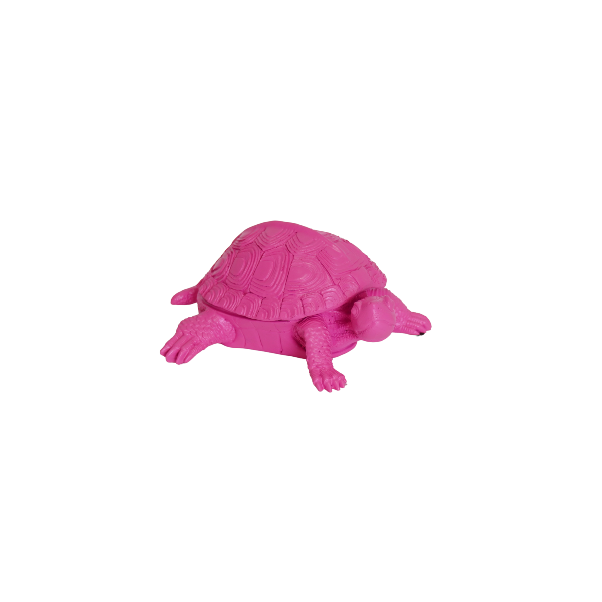 013bed90-335a-4cf9-b3b0-73a01d97c536_1200x1200_fill.png