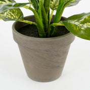 Dieffenbachia Kunstpflanze im Blumentopf Stan - H40 x Ø30 cm - Grün