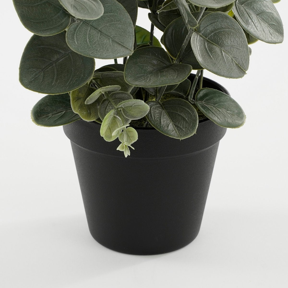 Plante d'eucalyptus artificielle en pot - H53 x Ø23 cm - Vert