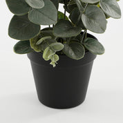 Plante d'eucalyptus artificielle en pot - H53 x Ø23 cm - Vert