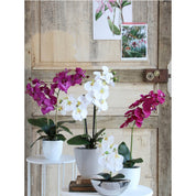 Künstliche Phalaenopsis-Pflanze im Blumentopf Tusca – H60 x Ø16 cm – Lila