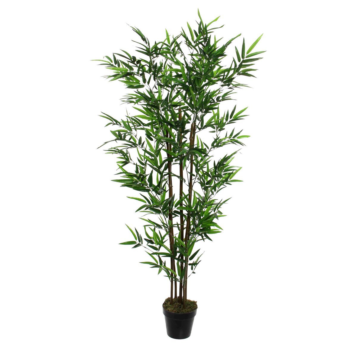 Artificial Bamboo Plant - H155 x Ø90 cm - Green