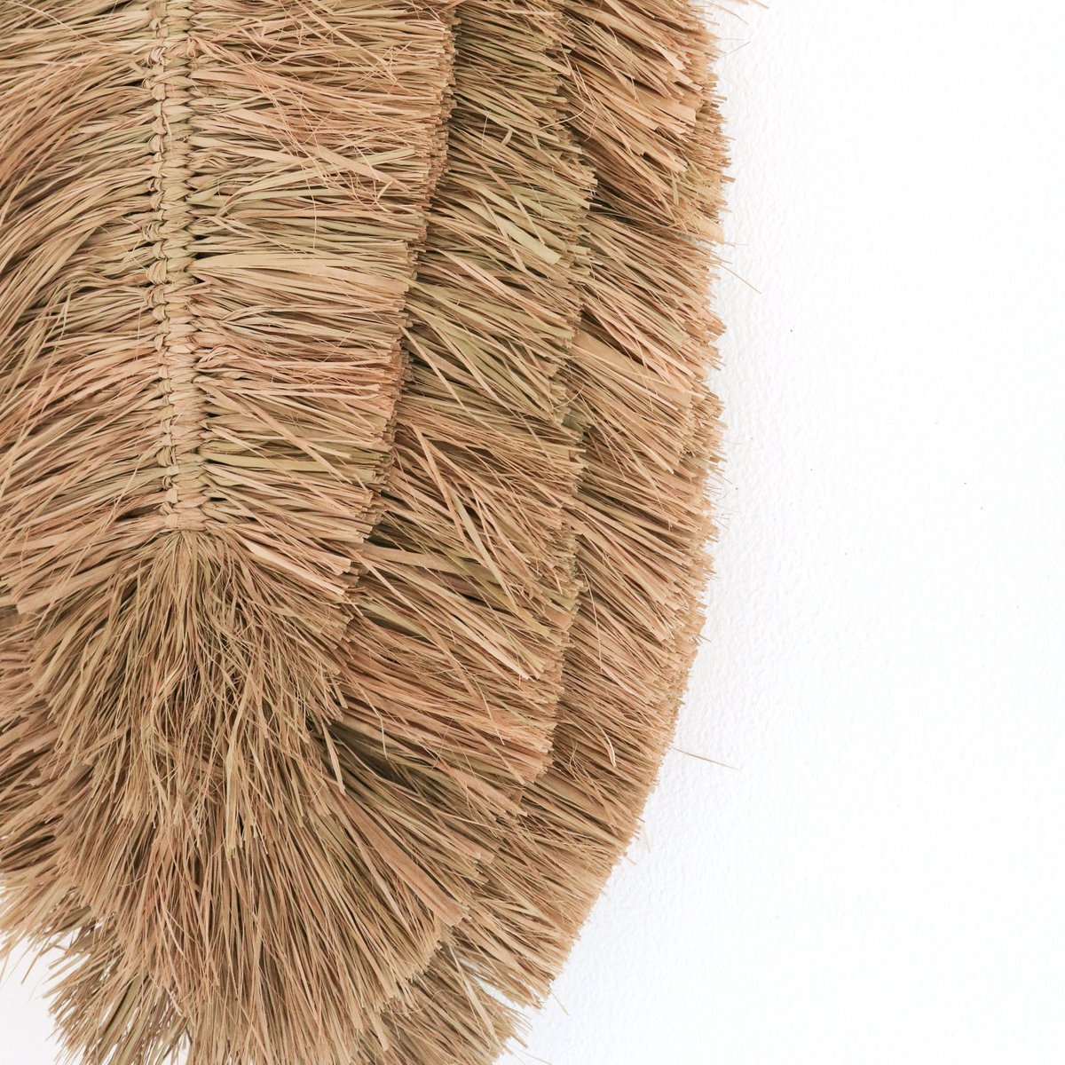 Tropical Wall Decor | TIPIN