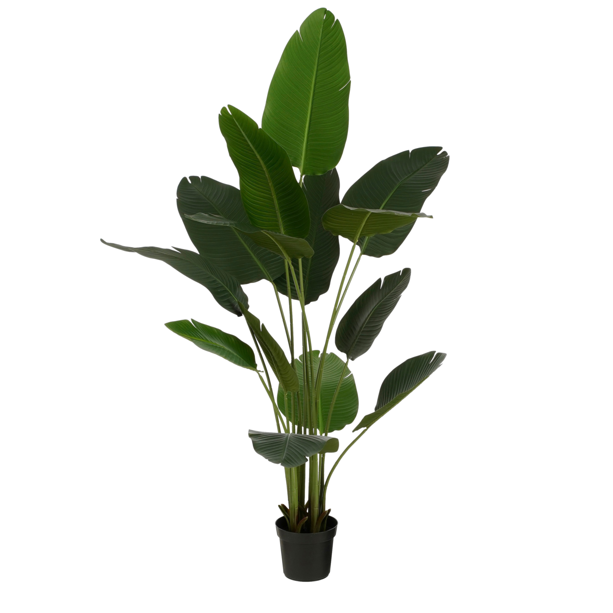 Artificial Banana Tree in Pot - H180 x Ø30 cm - Green