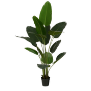 Artificial Banana Tree in Pot - H180 x Ø30 cm - Green