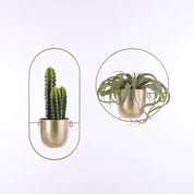 Dexter Flowerpot Wall - L34 x W14 x H34 cm - Gold