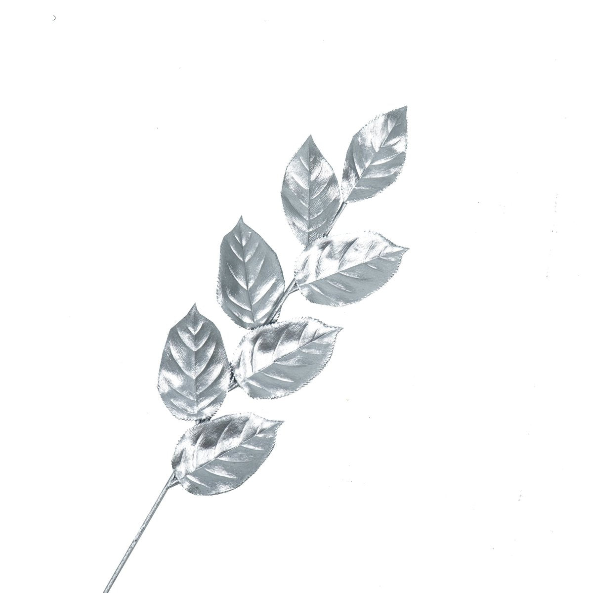 0f13d37f-5d93-423d-8153-a53e8f96cb27_1200x1200_fill.jpg