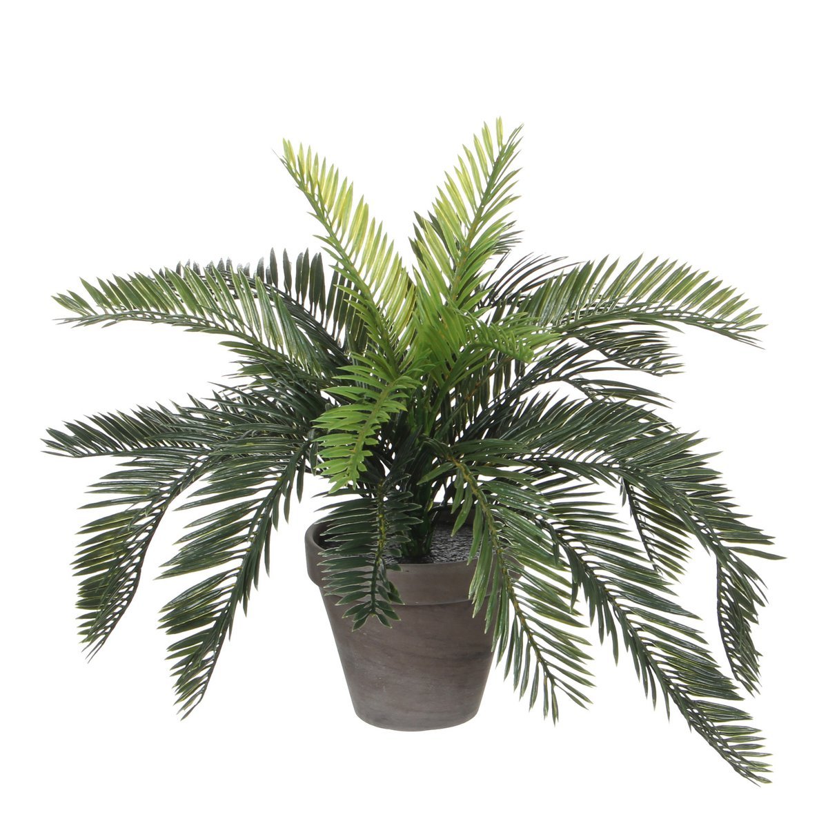 Artificial Cycas Palm Plant in Flower Pot Stan - H37 x Ø44 cm - Green