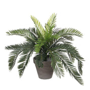 Artificial Cycas Palm Plant in Flower Pot Stan - H37 x Ø44 cm - Green