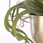 Dexter Flowerpot Wall - L34 x W14 x H34 cm - Gold