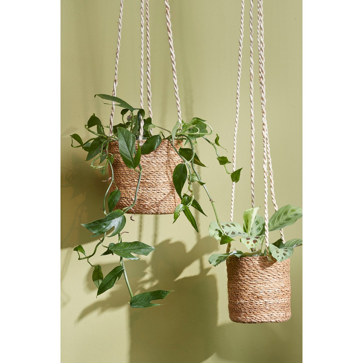 Atlantic Plant Basket - Set of 2 - H16 x Ø16 cm - Light brown
