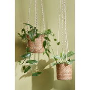 Atlantic Plant Basket - Set of 2 - H16 x Ø16 cm - Light brown