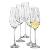 Set van 6 tempo champagne fluiten