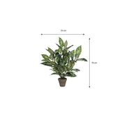 Kunstplant in Bloempot Stan - H70 x Ø55 cm - Groen