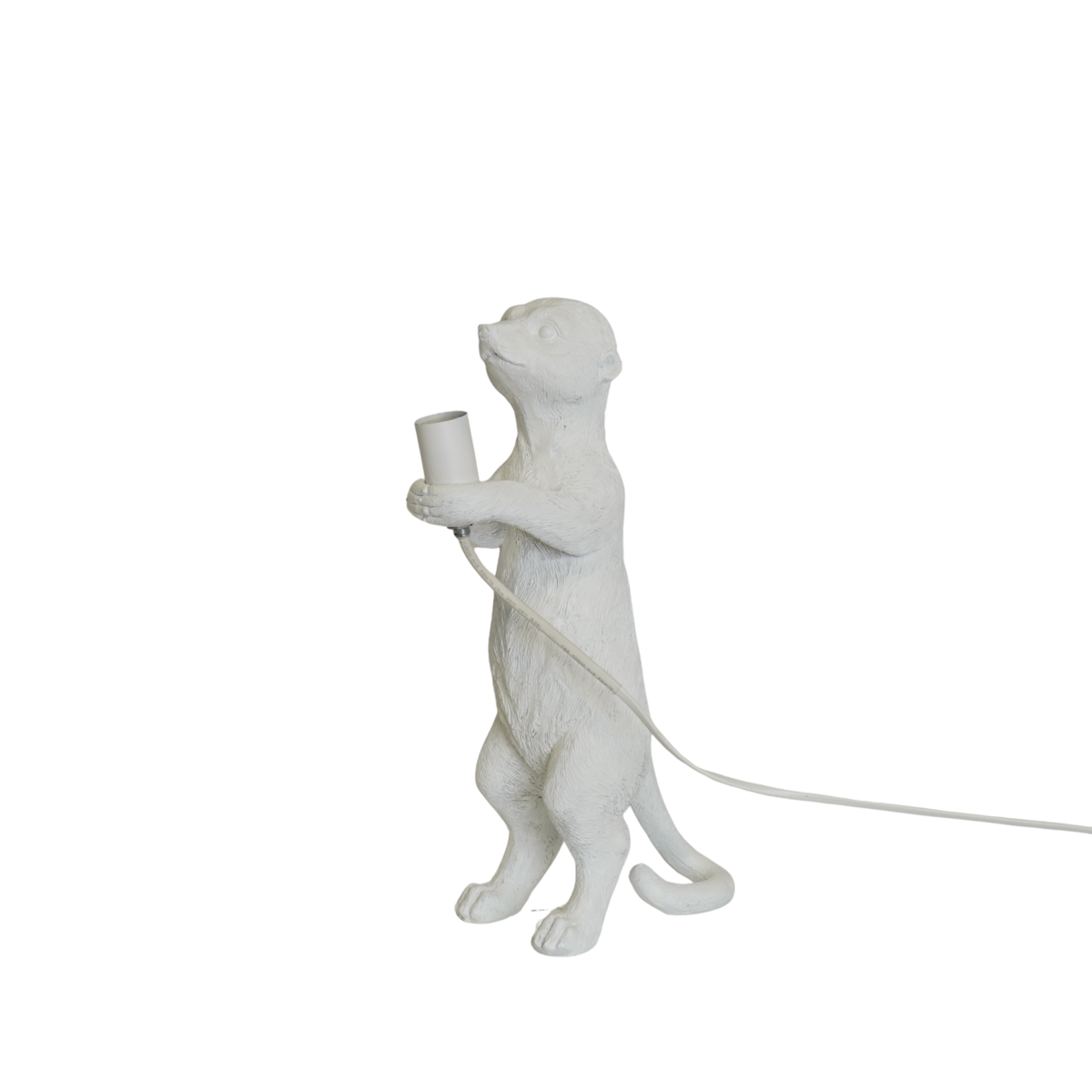 19c05628-80f5-4c2f-87a4-ee6d16014f10_1200x1200_fill.png