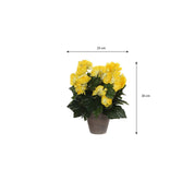 Artificial Begonia Plant in Flower Pot Stan - H30 x Ø25 cm - Yellow