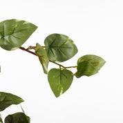 Scindapsus Artificial Hanging Plant - L15 x W30 x H80 cm - Green
