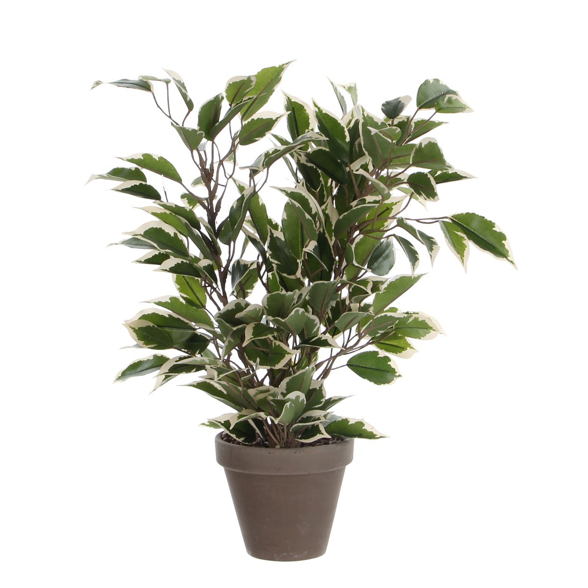 Ficus Natasja Kunstplant 