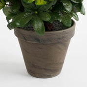 Artificial Azalea Plant in Flower Pot Stan - H31 x Ø26 cm - White