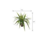 Asplenium Artificial Plant in Flower Pot Stan - H54 x Ø66 cm - Green