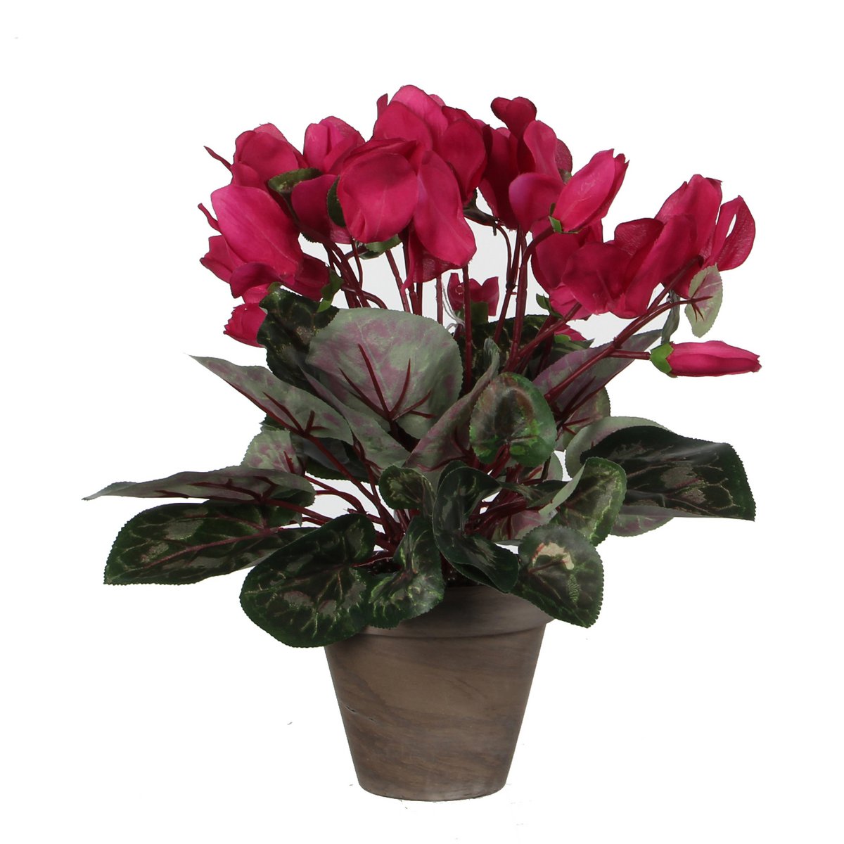 Artificial Cyclamen Plant in Flower Pot Stan - H30 x Ø30 cm - Dark Pink