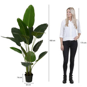 Artificial Banana Tree in Pot - H180 x Ø30 cm - Green