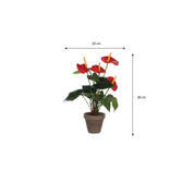 Artificial Anthurium Plant in Flower Pot Stan - H38 x Ø30 cm - Red
