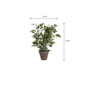 Ficus Natasja Kunstplant 