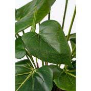 Artificial Anthurium Plant in Flower Pot Stan - H38 x Ø30 cm - Red