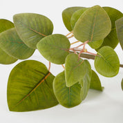 Artificial Eucalyptus Plant - L12 x W28 x H64 cm - Green
