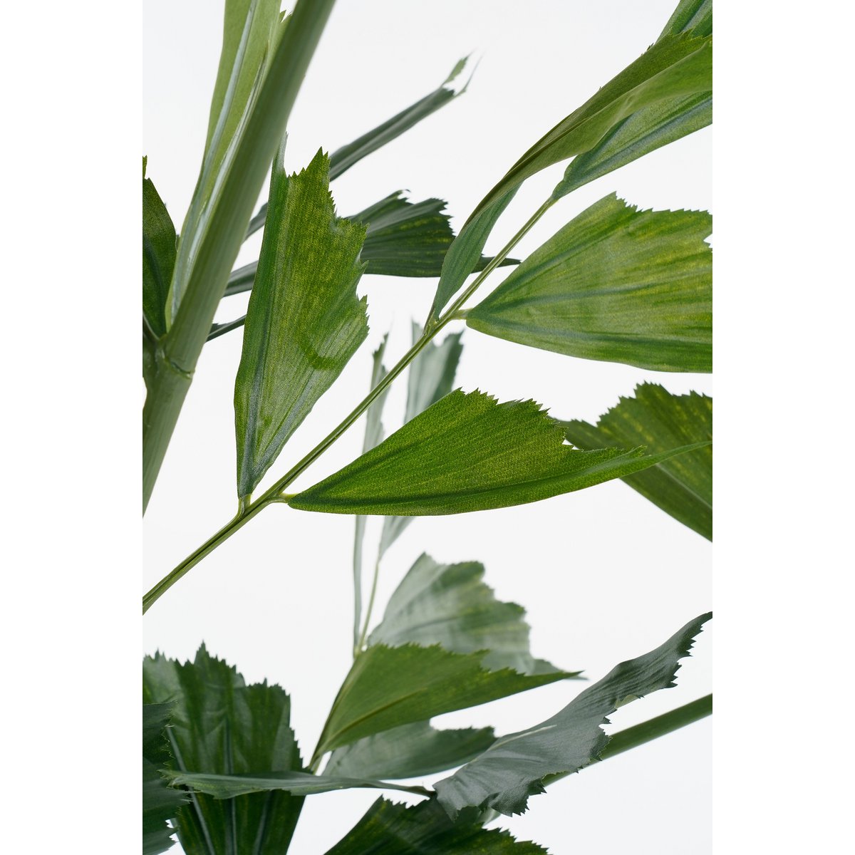 Fish tail Palm Artificial Plant in Pot - H150 x Ø100 cm - Green