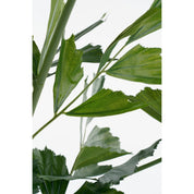 Fish tail Palm Artificial Plant in Pot - H150 x Ø100 cm - Green