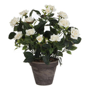 Artificial rose bush plant in flower pot Stan - H33 x Ø25 cm - White