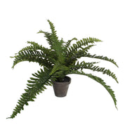 Künstliche Bostonfarnpflanze im Blumentopf Stan - H35 x Ø45 cm - Grün