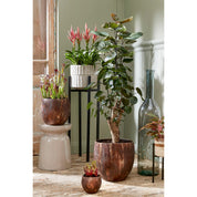Ascot Plant Stand XL - L38 x W38 x H95 cm - Metal - Black