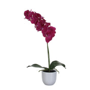 Künstliche Phalaenopsis-Pflanze im Blumentopf Tusca – H60 x Ø16 cm – Lila
