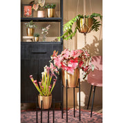 Support pour plantes Ascot XL - L42 x l42 x H50 cm - Métal - Noir