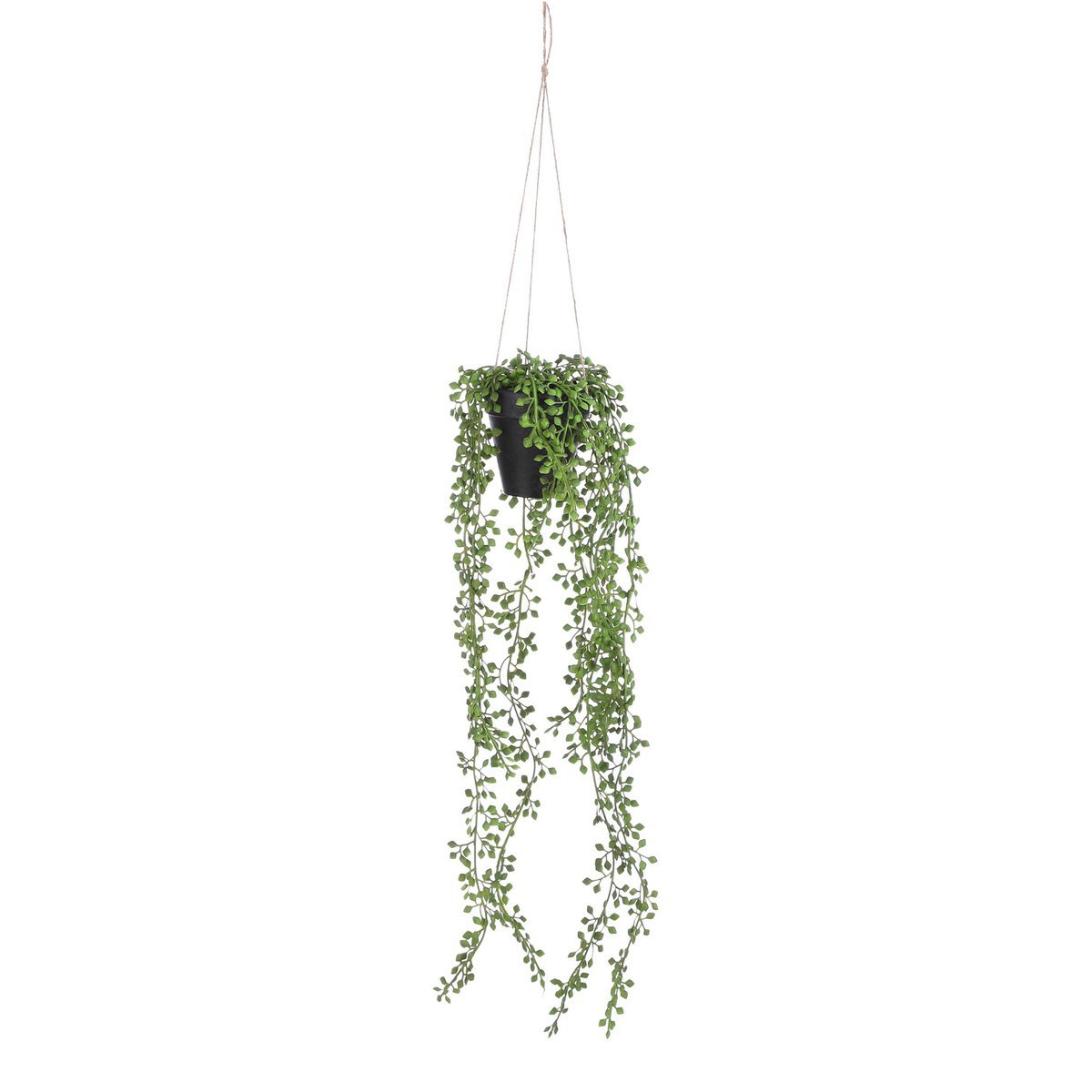 Senecio Kunsthangplant in Pot - H68 x Ø9 cm - Groen
