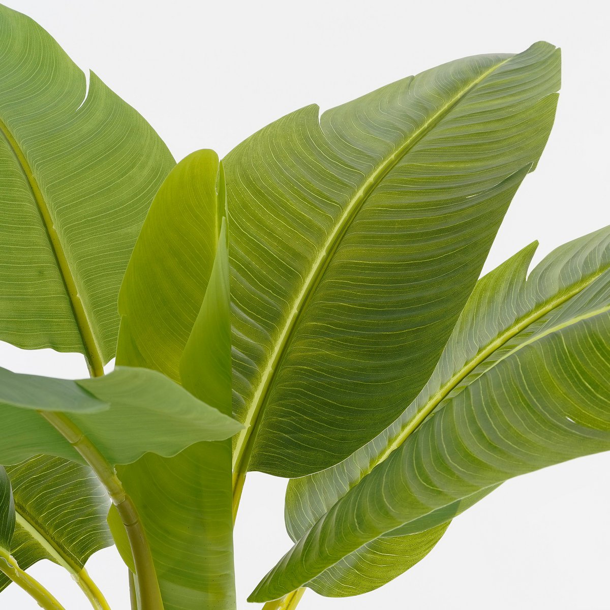 Artificial Banana Tree in Pot - H155 x Ø90 cm - Green