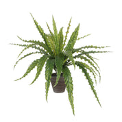 Asplenium Artificial Plant in Flower Pot Stan - H54 x Ø66 cm - Green