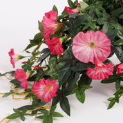 Artificial Petunia Hanging Plant in Stan Flower Pot - L25 x W45 x H50 cm - Dark Pink
