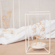 Lantern - Metal/Glass - White - 12.5x12.5x20cm