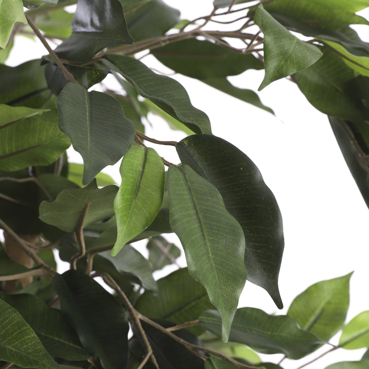Artificial Ficus Plant - H150 x Ø85 cm - Green