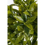 Laurel tree artificial plant - H120 x Ø40 cm - Green