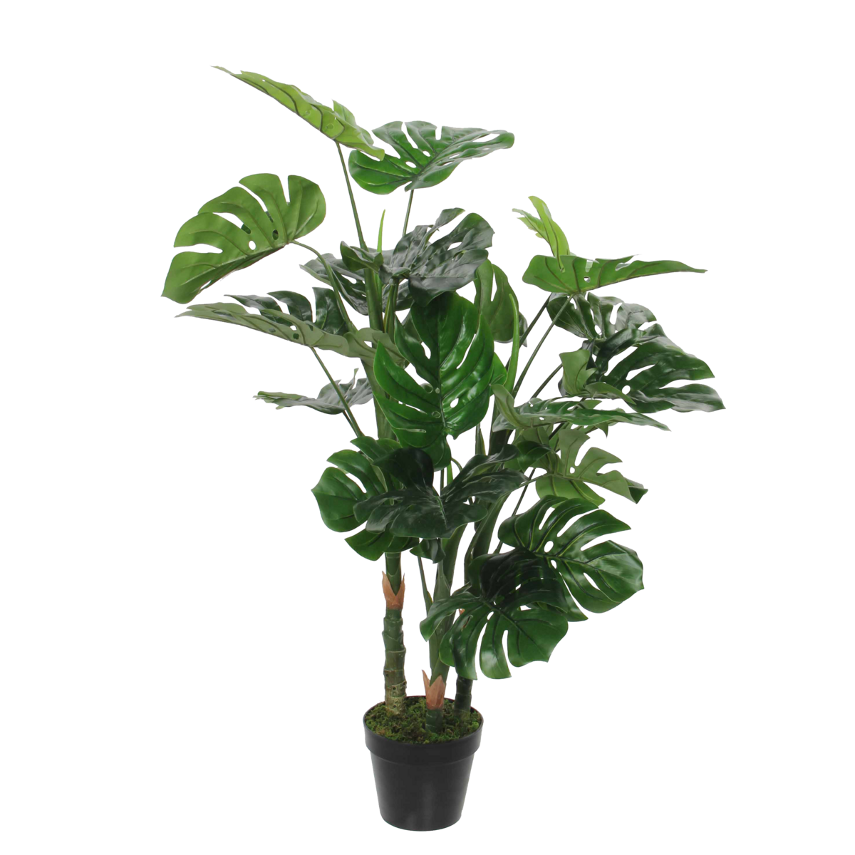 Monstera Artificial Plant - H100 x Ø75 cm - Green