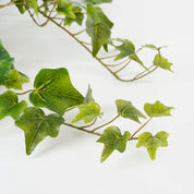 Hedera Artificial Hanging Plant - H71 cm - Green