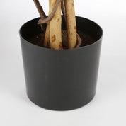 Plante d'érable artificielle - H140 x Ø80 cm - rouge