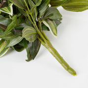 Tradescantia artificielle suspendue - L15 x l20 x H54 cm - Vert